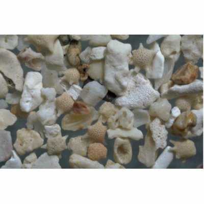 Beautiful Pebbles from Guam Photo Cut Outs by inspirelove