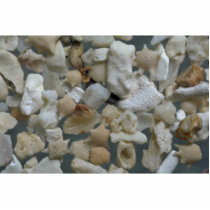 Beautiful Pebbles from Guam Photo Cut Outs