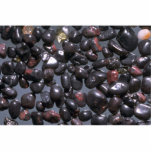 Beautiful Pebbles from Magnetite, Oneuli, Puu Olai Photo Cutouts