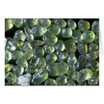 Beautiful Pebbles from Olivine sand, Hawaii Greeting Card