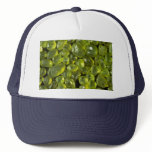 Beautiful Pebbles from Papakolea, Hawaii Mesh Hat