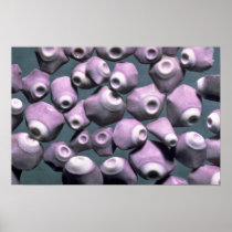 Beautiful Pebbles from Pieces of sea urchins Posters