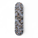 Beautiful Pebbles from Pu'upeke Cove, Lanai Skate Deck