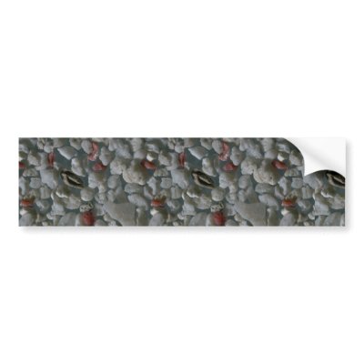 Beautiful Pebbles from Santa Cruz, Phillipines Bumper Stickers by inspirelove
