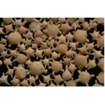 Beautiful Pebbles from Star Sand, Tonga Photo Cutouts