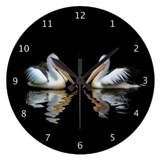 Beautiful pelicans reflected on black water, gift clocks