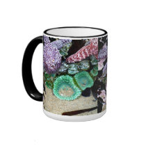 Beautiful Photo Starfish and Anemones Coffee Mug