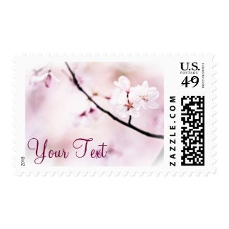 Beautiful Pink Cherry Blossoms White Sunshine Tree Stamps
