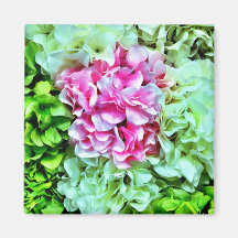 Beautiful Pink Cream Green Hydrangea Flowers Fridge Magnets