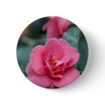 Beautiful Pink Flower buttons