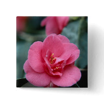 Beautiful Pink Flower buttons