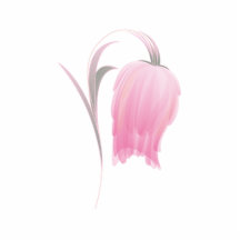 BEAUTIFUL PINK FLOWER PHOTO SCULPTURES