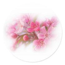 Beautiful pink flowers stickers by Ceyzpurplestang Beautiful pink flowers stickers