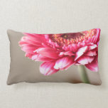 Beautiful pink gerbera on beige pillows
