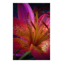 Beautiful Pink Lily Stationery Design