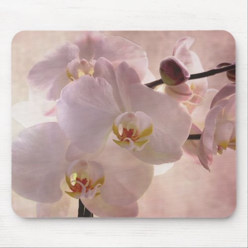 Beautiful Pink Orchid mousepad mousepad