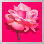 Beautiful Pink Rose Canvas Print 3 ft by 3 ft