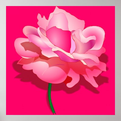 Beautiful Pink Rose Canvas Print 3 ft by 3 ft by BUSHWICK