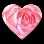 Beautiful, pink rose close up stickers