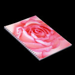 Beautiful, pink rose close up notebooks