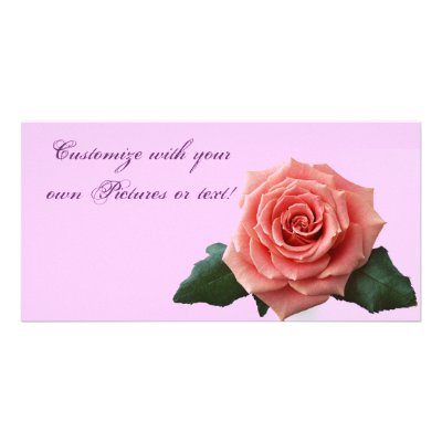 Beautiful 'Pink Rose' Flower Photo Greeting Card by MidnightDreamer