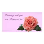 Beautiful 'Pink Rose' Flower Photo Greeting Card