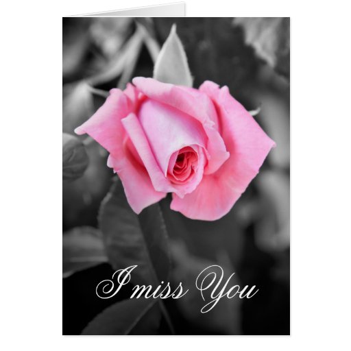 Beautiful pink rose I miss you floral card Zazzle