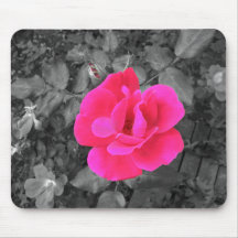 Beautiful Pink Rose Mousepad