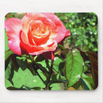 Beautiful Pink Rose Mousepad mousepads