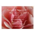 Beautiful Pink Rose Petals 16th Birthday Announcements