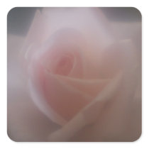 Beautiful Pink Rose Stickers