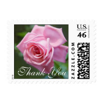 Beautiful pink rose Thank You postage stamp