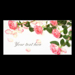 Beautiful pink roses photo cards
