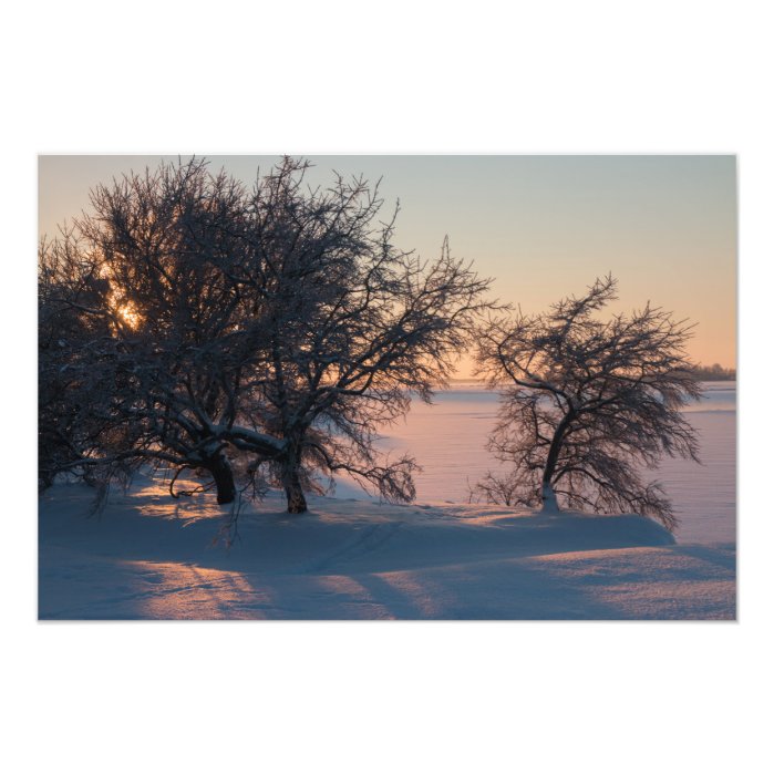 Beautiful pink winter sunset in Finland CC0829 Photo Print