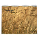 Beautiful plants 2 - 2011 calendar