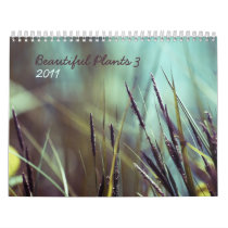 Beautiful plants 3 - 2011 calendar