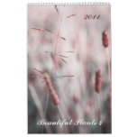 Beautiful plants 4 - 2011 calendar