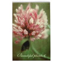 Beautiful plants 6 - 2011 calendar
