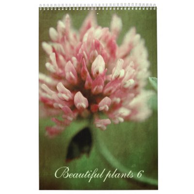 Beautiful plants 6 - 2011 calendar by 2011calendars