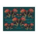 BEAUTIFUL! Post Card postcards
