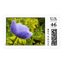 Beautiful  postage