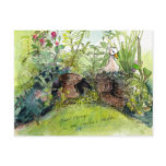 Beautiful Postcards from Paris