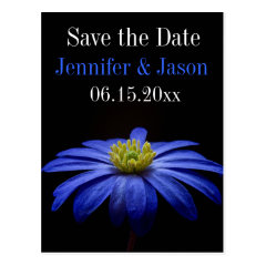 Beautiful Pretty Blue Flower Save Date Postcards
