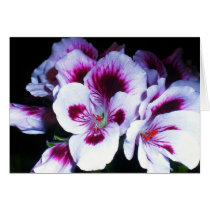 Beautiful Primrose Card
