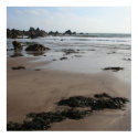 Beautiful professional Beach poster posters