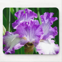 Beautiful Purple and White Iris Mousepad