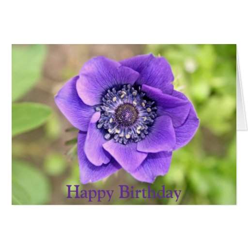 beautiful purple flower birthday card Zazzle