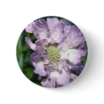 Beautiful Purple Flower buttons