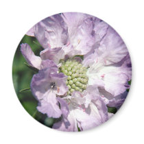 Beautiful Purple Flower magnets