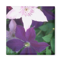 Beautiful Purple Flowers magnets